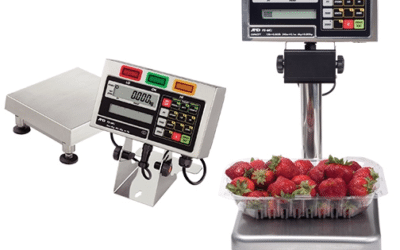 How to Choose the Right Commercial Bench Scales for Your Business